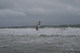 NDR2_040.JPG