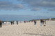 NDR2_006.JPG