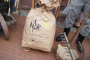 DSC01232.jpg